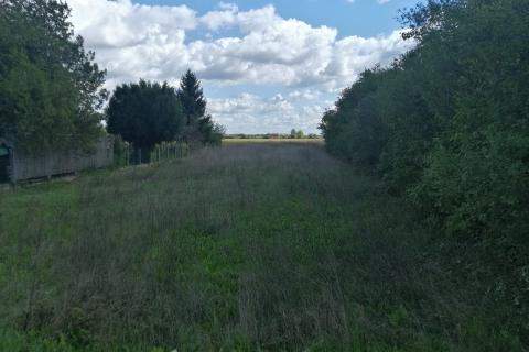 Building plot Brezovica, 2.694m2