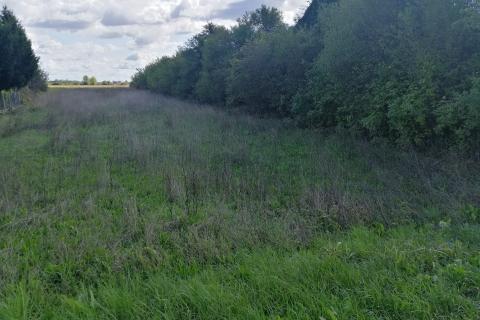 Building plot Brezovica, 2.694m2