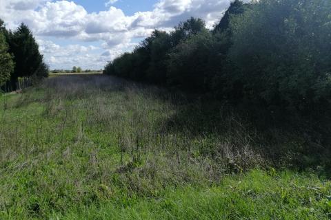 Building plot Brezovica, 2.694m2