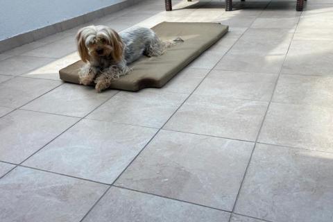 Draga Bašćanska - kuća 80m2, okućnica 90m2, spremišta 70m2, parking