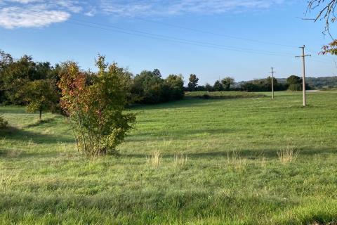 Šterna, Grožnjan, 7.136m2