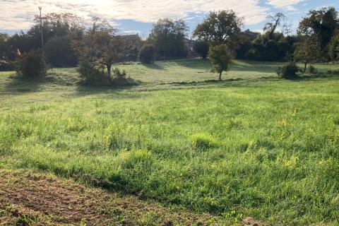 Šterna, Grožnjan, 7.136m2