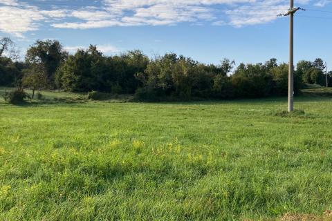 Šterna, Grožnjan, 7.136m2