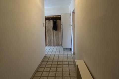 Višnjan - okolica, dvojna kuća sa puno potencijala