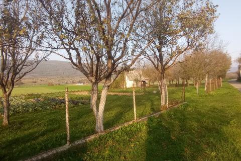 Lika,Otočac,stara kuća sa okućnicom 7650 m2