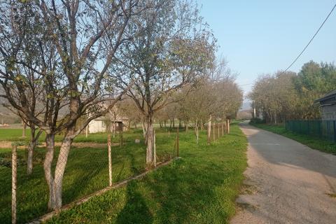 Lika,Otočac,stara kuća sa okućnicom 7650 m2