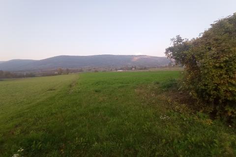 Lika,Otočac,stara kuća sa okućnicom 7650 m2