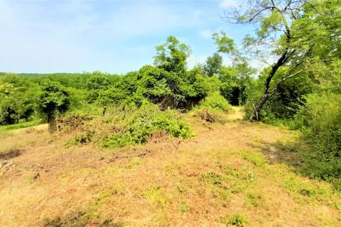 Hiša Vižintini Vrhi, Oprtalj, 201m2