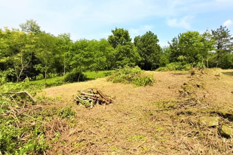 Hiša Vižintini Vrhi, Oprtalj, 201m2