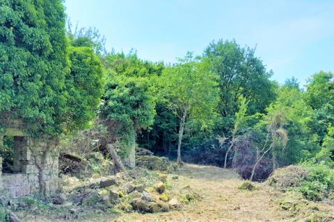 Hiša Vižintini Vrhi, Oprtalj, 201m2