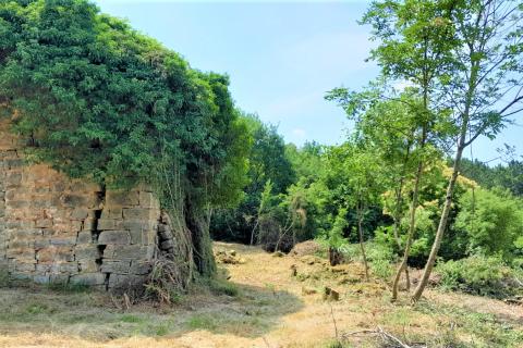 Hiša Vižintini Vrhi, Oprtalj, 201m2