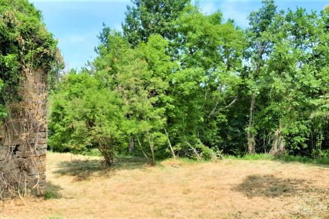 Hiša Vižintini Vrhi, Oprtalj, 201m2