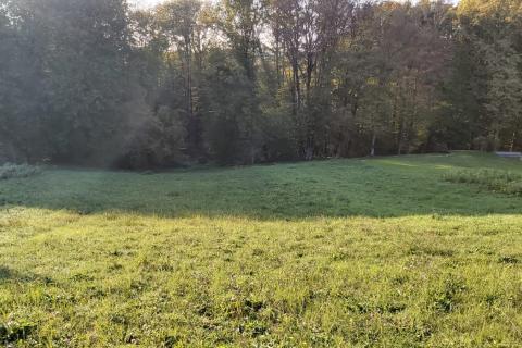 Donji Trpuci, Brezovica, 1.241m2