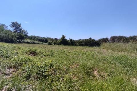 Terreno non edificabile Donji Trpuci, Brezovica, 2.536m2