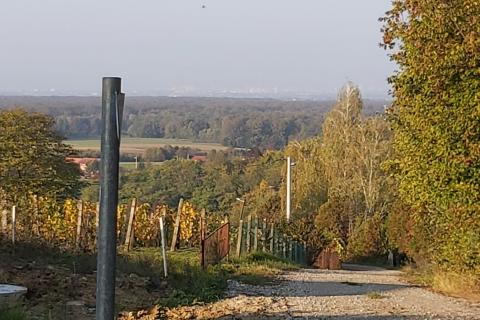 Terreno non edificabile Donji Trpuci, Brezovica, 2.536m2