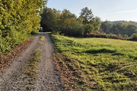 Terreno non edificabile Donji Trpuci, Brezovica, 2.536m2