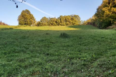 Terreno non edificabile Donji Trpuci, Brezovica, 2.536m2