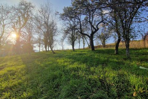 Земельный участок строительного назначения Vrbovsko, 4.184m2