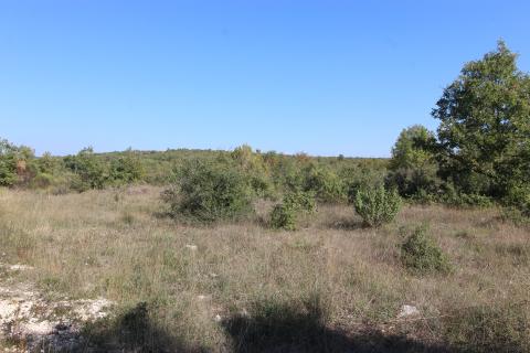 Istra, Rovinj, poljoprivredno zemljište sa ucrtanim objektom