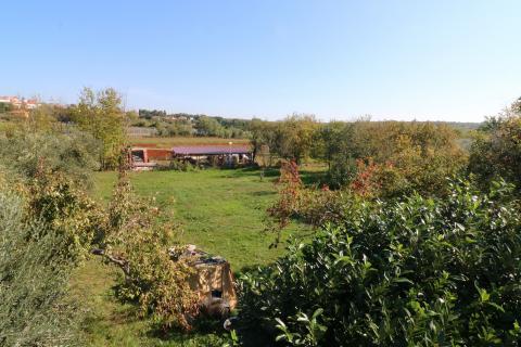 BRTONIGLA-kuća sa 15 000m2 građevinskog zemljišta