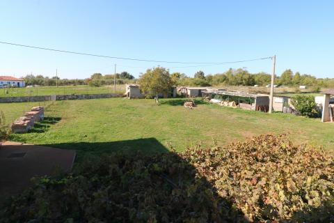 BRTONIGLA-kuća sa 15 000m2 građevinskog zemljišta