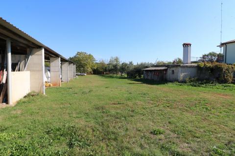 BRTONIGLA-kuća sa 15 000m2 građevinskog zemljišta