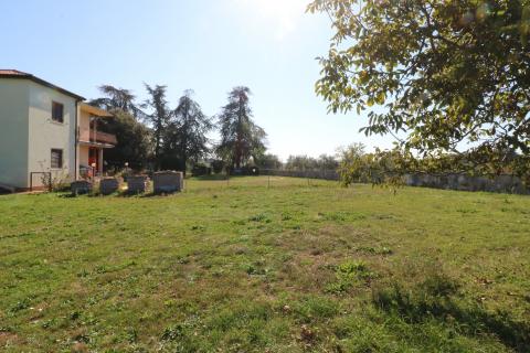 BRTONIGLA-kuća sa 15 000m2 građevinskog zemljišta