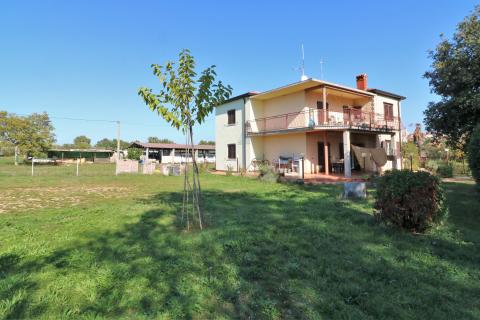 BRTONIGLA-kuća sa 15 000m2 građevinskog zemljišta