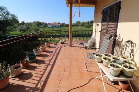 BRTONIGLA-kuća sa 15 000m2 građevinskog zemljišta