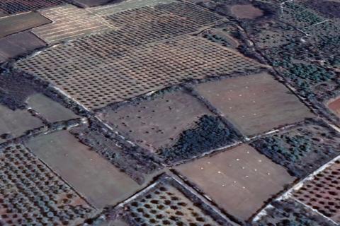 VODNJAN-poljoprivredno zemljište