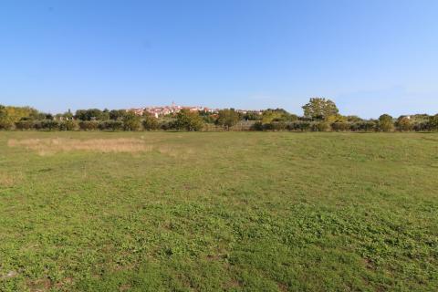 BRTONIGLA-građevinsko zemljište