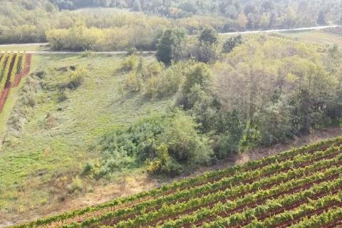 Земельный участок нестроительного назначения Vižinada, 8.200m2