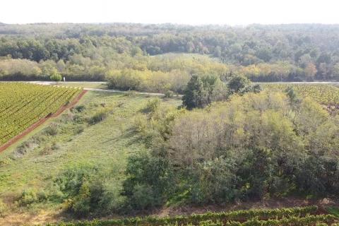 Земельный участок нестроительного назначения Vižinada, 8.200m2