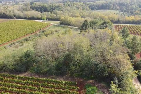 Земельный участок нестроительного назначения Vižinada, 8.200m2