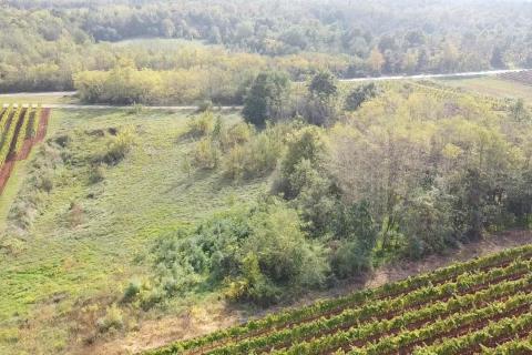 Земельный участок нестроительного назначения Vižinada, 8.200m2