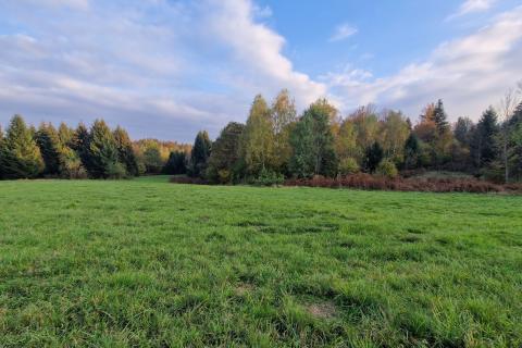 Gorski Kotar-Vrbovsko/poljoprivredni teren 5.200 m2