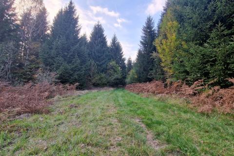 Gorski Kotar-Vrbovsko/poljoprivredni teren 5.200 m2