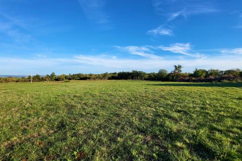 Istra, Savudrija, negrađevinsko zemljište s pogledom na more