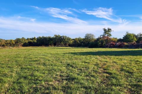 Istra, Savudrija, negrađevinsko zemljište s pogledom na more