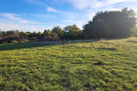 Istra, Savudrija, negrađevinsko zemljište s pogledom na more