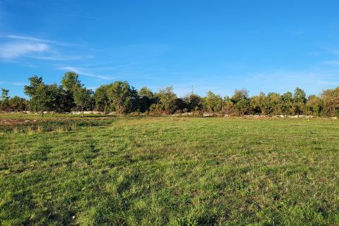 Istra, Savudrija, negrađevinsko zemljište s pogledom na more
