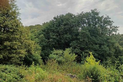 Karlovac, poljoprivredno zemljište 990 m2