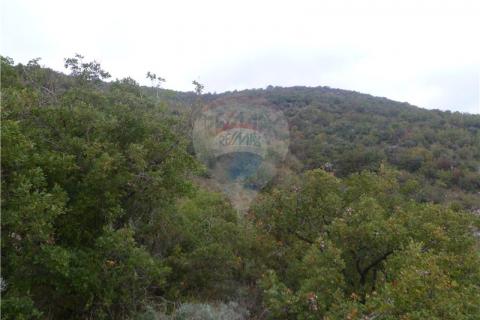 Земельный участок нестроительного назначения Mošćenička Draga, 13.352m2