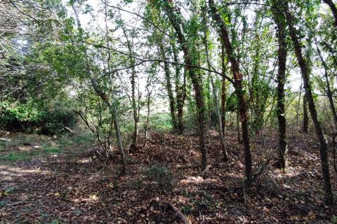 Nicht-strukturelle Land Vinkuran, Medulin, 588m2