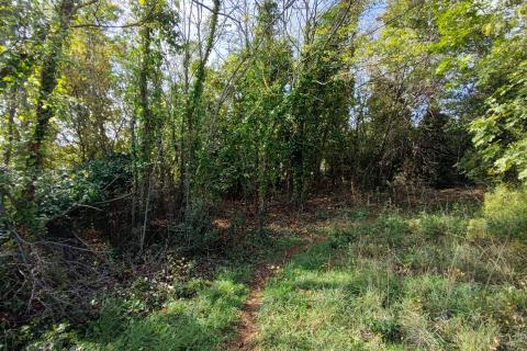 Nicht-strukturelle Land Vinkuran, Medulin, 588m2