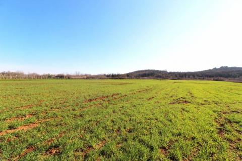 Istra, poljoprivredno zemljište 5 km od Poreča