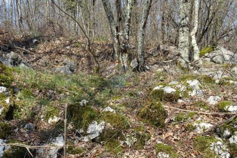 Matulji, Brešca 19613 m2