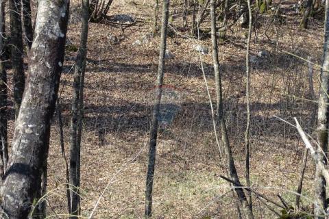 Matulji, Brešca 19613 m2