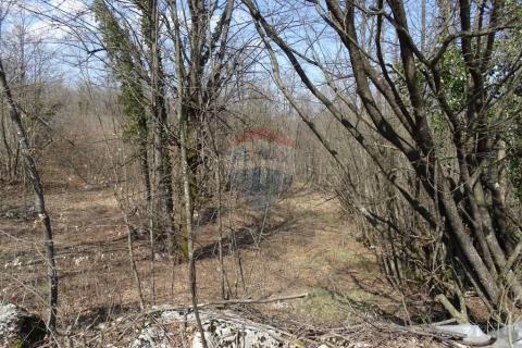 Matulji, Brešca 19613 m2