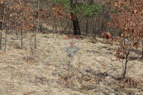 Matulji, Brešca 19613 m2